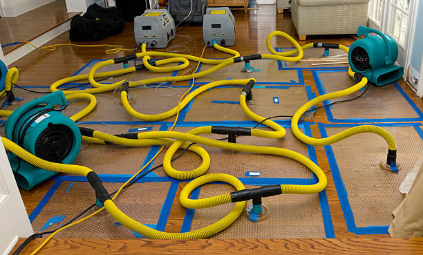 Professional Sewage Cleanup technician working in Palm City, FL